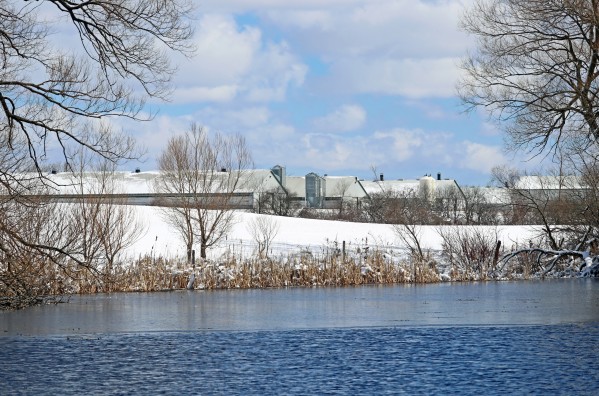 Sometimes It Snows In April by Deb Oppermann